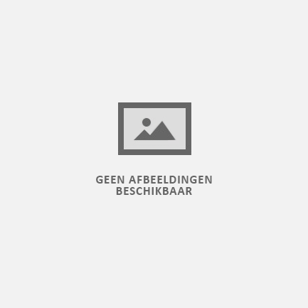 Koninklijk Disco feestje